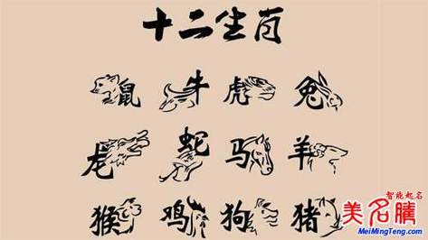 卯生肖宝宝起名字（属卯的字）