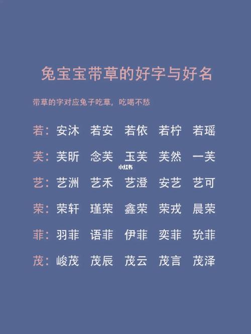 兔子宝宝怎么起名字好（兔宝宝好听的名字）