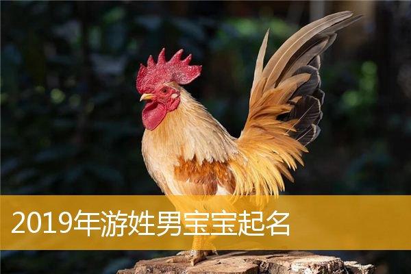 姓名游宝宝起名字男（游姓男宝宝寓意好名字）