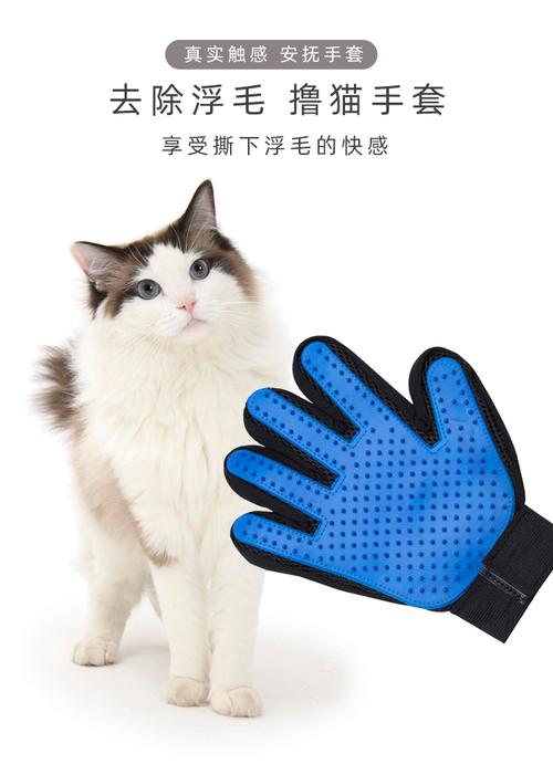 手套猫起名字大全（猫猫手套属性）