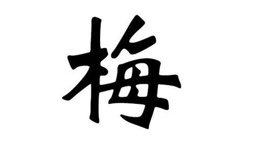 梅姓猪宝宝起名字（梅姓猪宝宝起名字男孩）