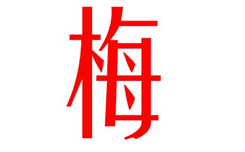 梅姓猪宝宝起名字（梅姓猪宝宝起名字男孩）