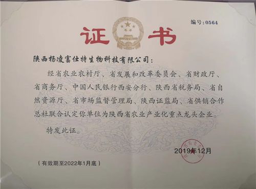 陕西农业公司起名字叫什么（陕西农业龙头企业名单）