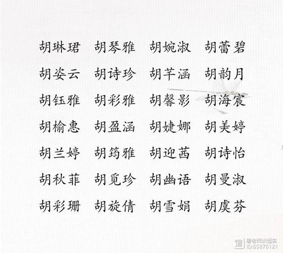 姓胡兔宝宝起名字（胡姓兔宝宝取名）