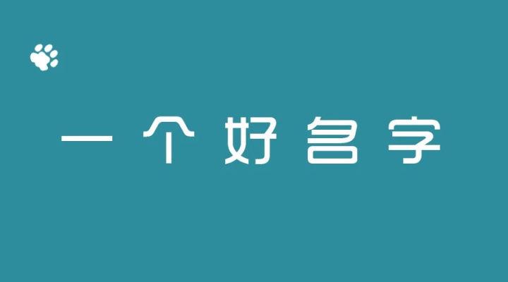 传媒公司公众号起名字（传媒公司公众号起名字怎么起）