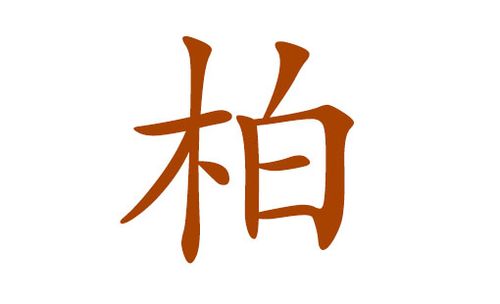 起名字大全柏姓女孩起名（姓柏取什么名字）