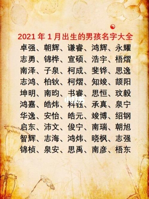 2021年男宝宝起名字（2021年男宝宝起名字大全集）