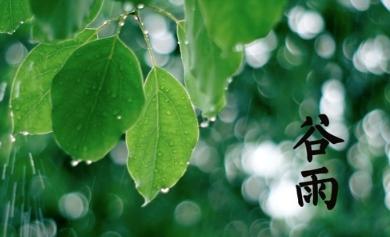 谷雨出生宝宝怎么起名字（谷雨出生的女孩起名小名）