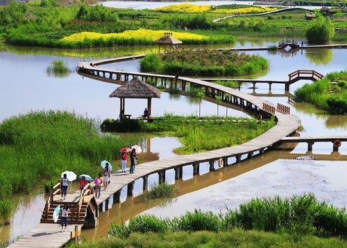 湿地景区起名字大全（湿地公园名字怎么取）