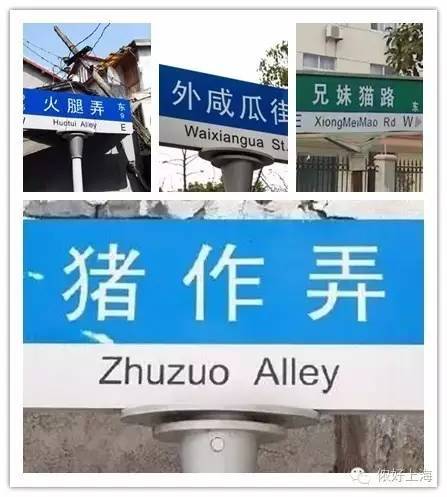 奇葩路牌起名字大全（奇葩路牌起名字大全四个字）