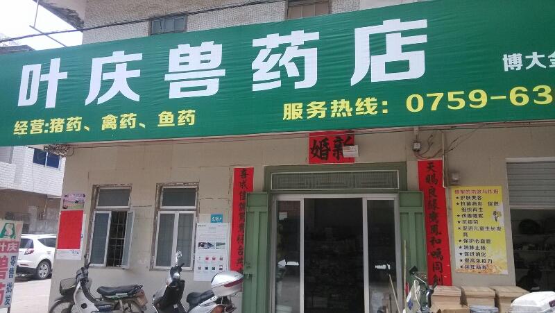 兽药店铺起名字大全（兽药店怎样起店名好）