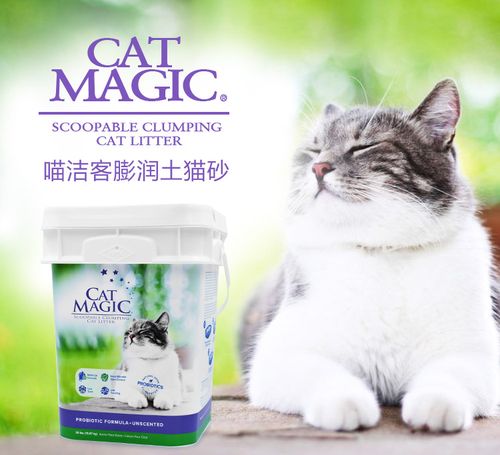 猫砂店铺起名字大全（卖猫砂的店铺名）