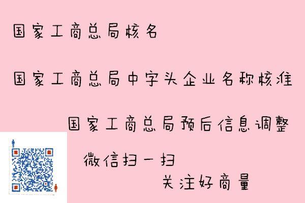 带中字头公司起名字（带中字开头的公司名称）