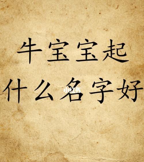 牛宝宝起名字带宥（取宥的名字寓意好不好属牛）