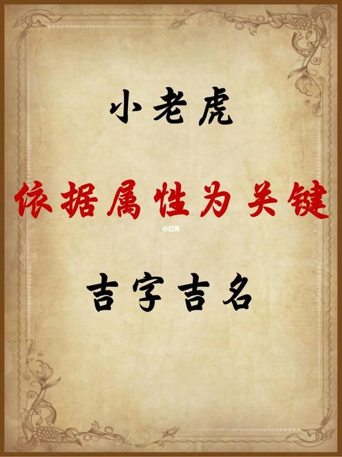 虎宝宝寅时起名字（虎宝宝寅时起名字大全）