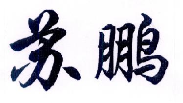 给宝宝起名字苏鹏（给宝宝起名字苏鹏什么意思）