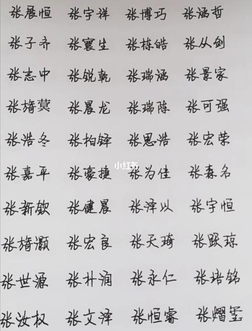 张姓名字起名男孩名字大全（2021张姓取名字大全男孩名字）