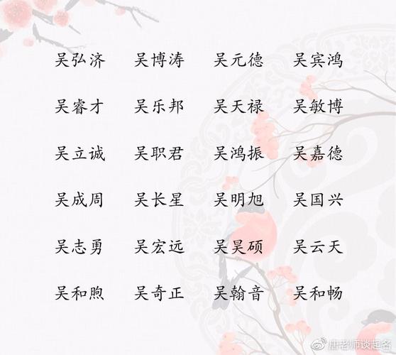 宝宝起名字姓吴男孩（宝宝起名字姓吴男孩）