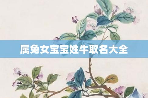 女宝宝起名字大全2019（女宝宝起名字大全2019年属兔）