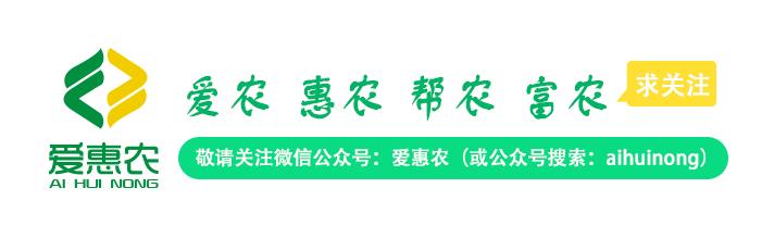 三农店铺起名大全（有新意三农名字）