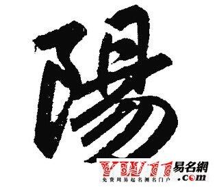 姓阳公司起名字（姓阳公司起名字大全）