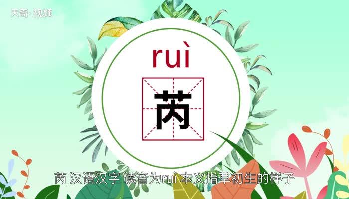 芮组词起名字大全（芮字的组词）