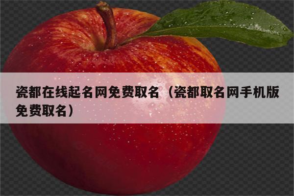 瓷都起名网店铺免费取名（瓷都免费起名网 公司起名）