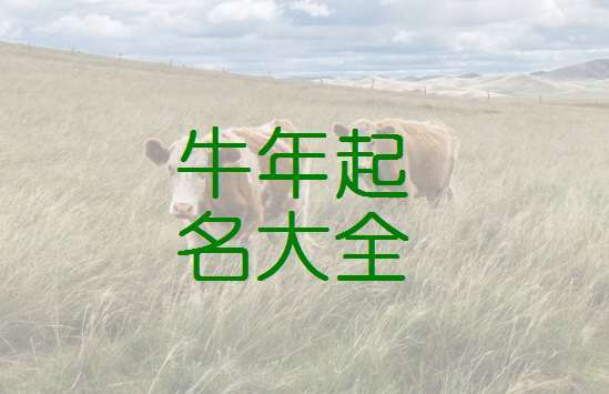 起名字贾牛宝宝（牛宝宝姓贾取什么名字）