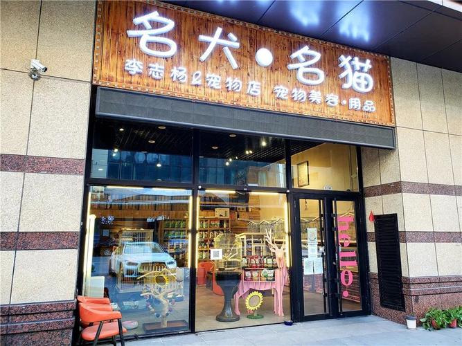 宠物店店铺名字（宠物店名字洋气的）