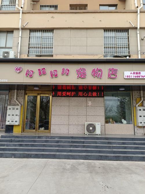 宠物店店铺名字（宠物店名字洋气的）