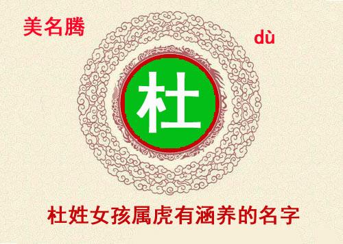 杜姓虎宝宝起名字（姓杜的宝宝）