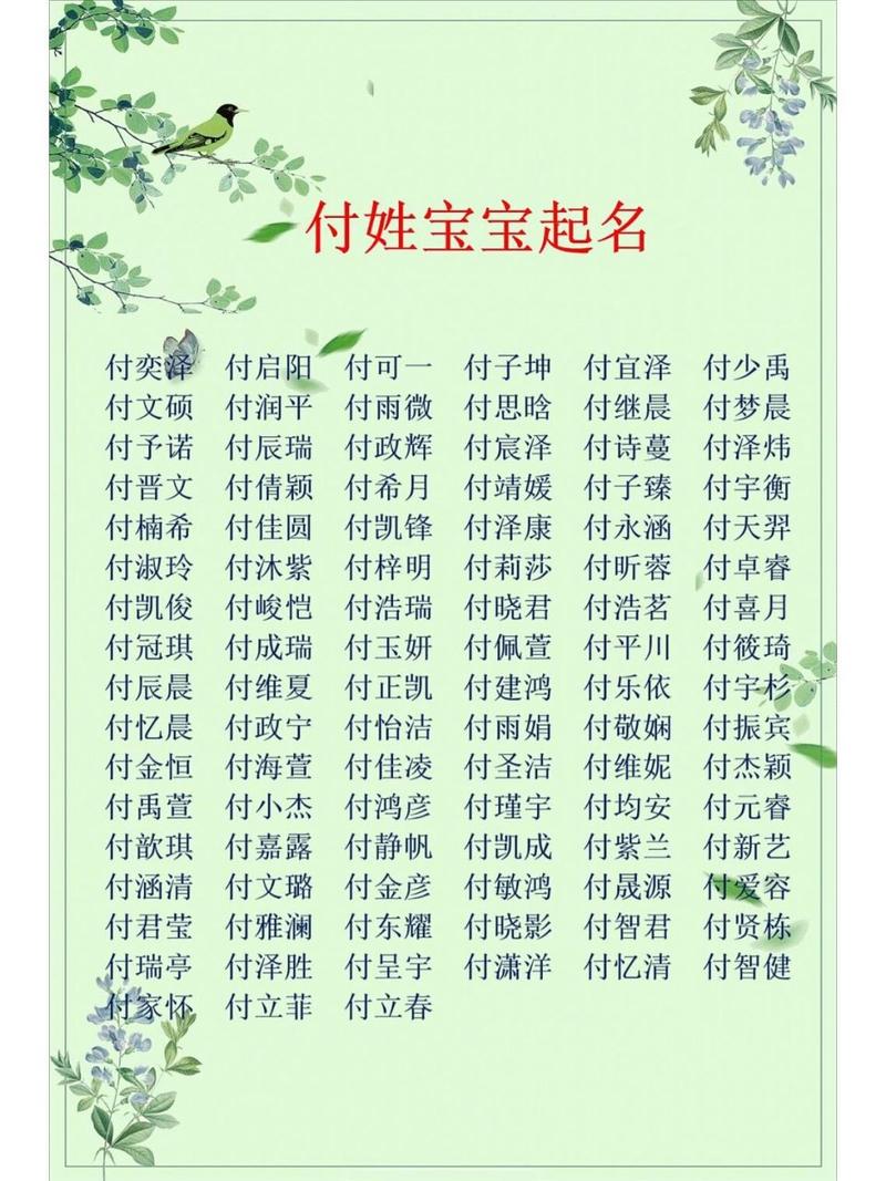 付氏起名男孩名字大全（付姓男孩名字简单大方洋气）