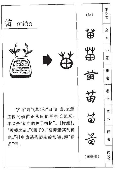 苗起名字大全男孩名字（苗字取名字）