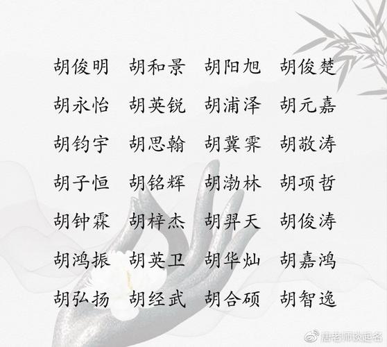 胡姓宝宝取名大全（胡氏取名男孩名字大全）