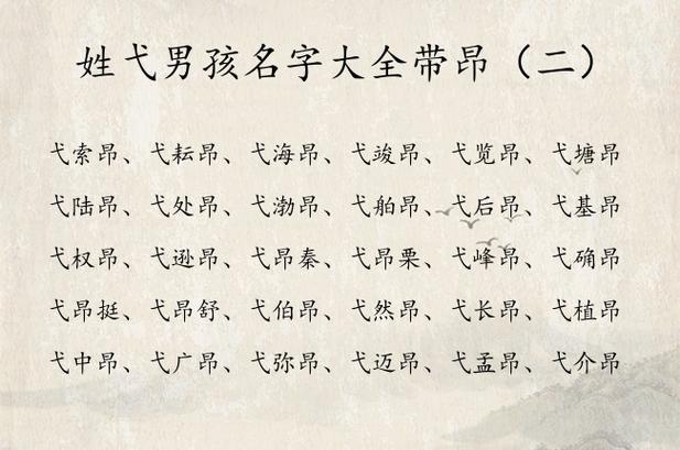 用昂给宝宝起名字（用昂字取名）