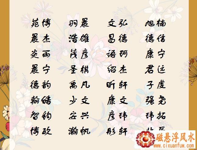 男宝宝起名小众名字大全（男宝宝取小名字大全集2021）