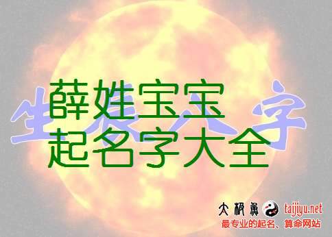 薛宝宝男孩起名字大全（薛姓男宝宝名字大全2021）