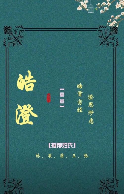 木命公司起名字用什么字好（木命公司取名）