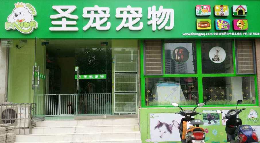 宠物粮店铺起名字大全（宠物粮食店名称大全）