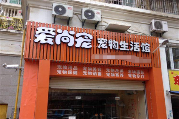 宠物店公司起名字怎么起（宠物公司取名字大全）