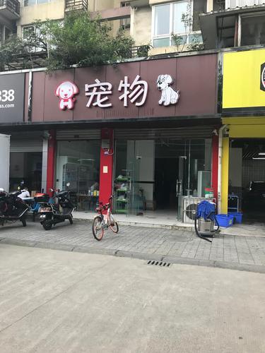 宠物店公司起名字怎么起（宠物公司取名字大全）