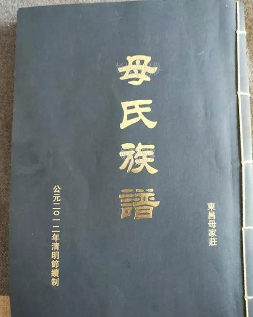 聊城宝宝起名字（聊城什么姓氏最多）