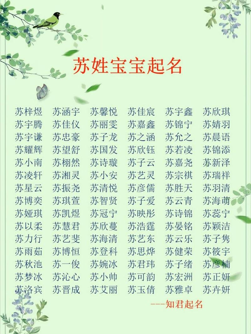 苏姓男孩起名字大全（苏姓男宝名字）