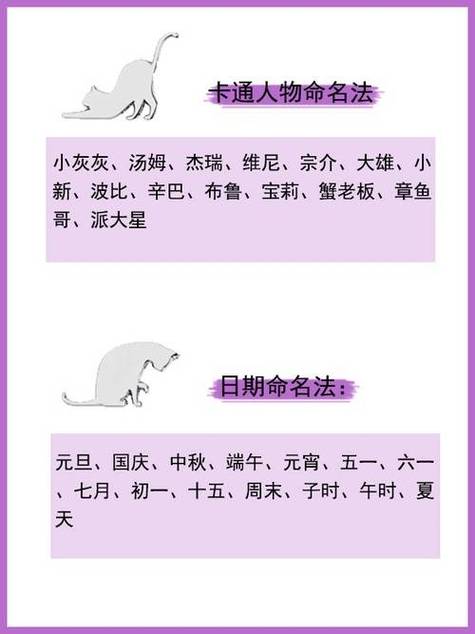 猫咪起名字大全叠字（猫咪取名字大全叠字）