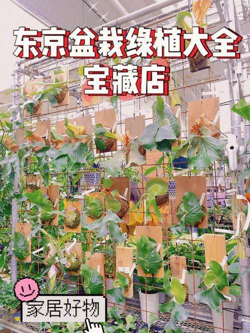 文艺绿植店铺起名字大全（唯美的绿植店名）