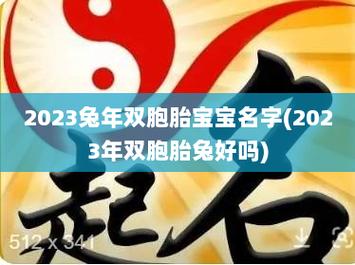 2023兔年双胞胎宝宝名字（2023兔年双胞胎宝宝名字怎么取）