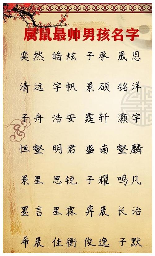 鼠年宝宝起名字姓金（鼠年姓金的男孩名字）