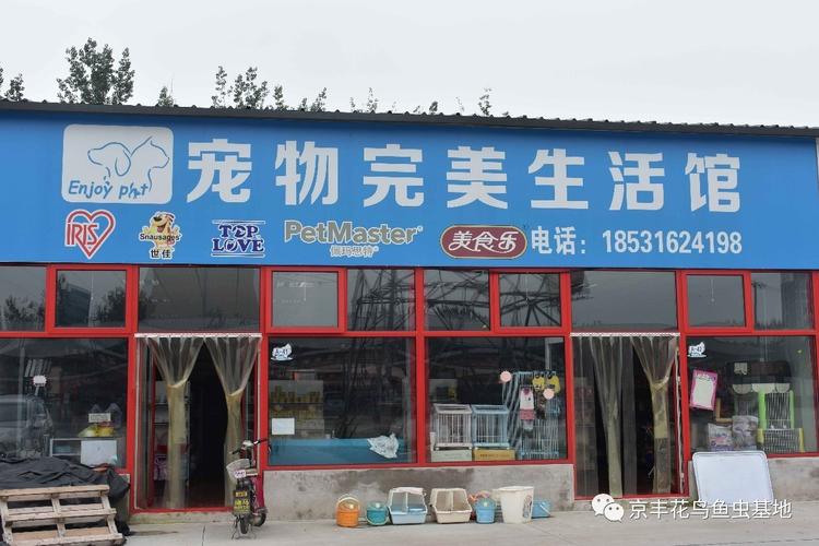 宠物用具店铺起名大全（宠物用品的店名）