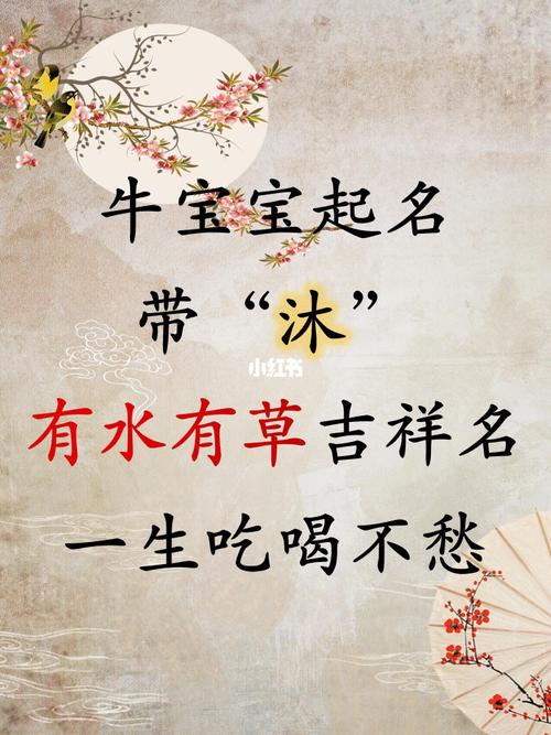 宝宝用沐起名字（宝宝用沐起名字好不好）