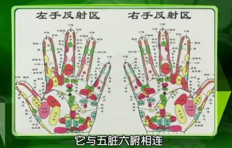 手掌起名字大全（手字名字）